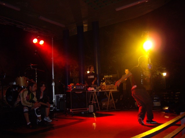 Hernani-Elkartasun eguna 2008 (2).jpg